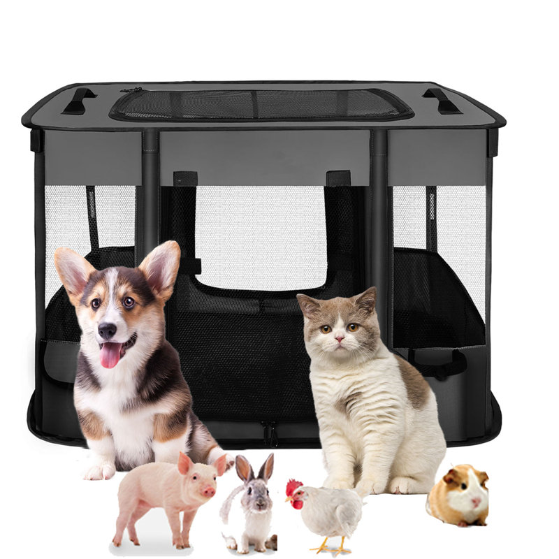 Yorkie playpen new arrivals